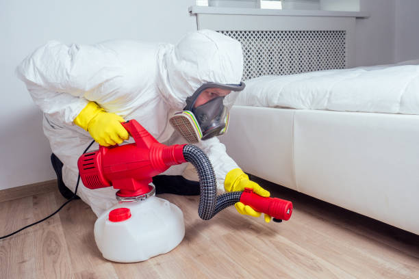 Best Pest Prevention Services  in Wickenburg, AZ